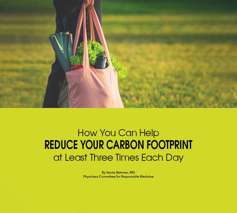 How to reduce your carbon footprint — The Considerate Consumer