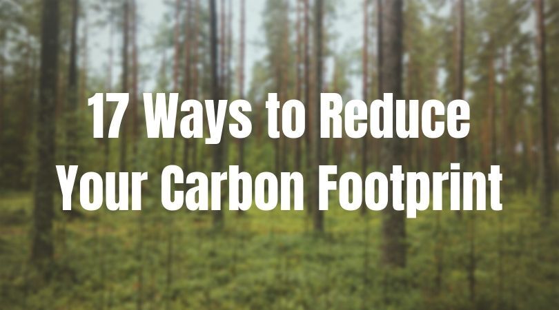 7 Surprising Ways to Reduce Your Carbon Footprint - Better Report