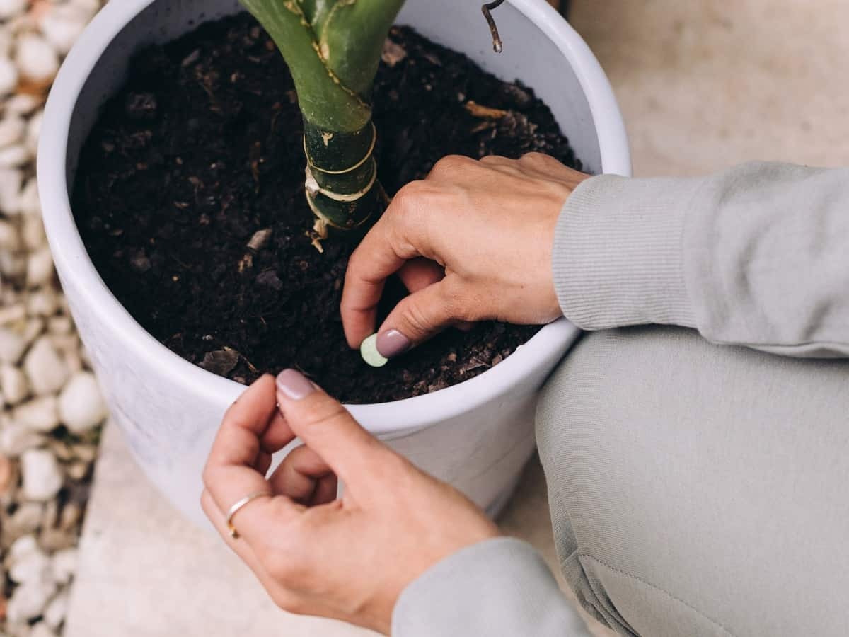 The Minimalist Approach to Hobbies (and why you shouldn't feel guilty ...